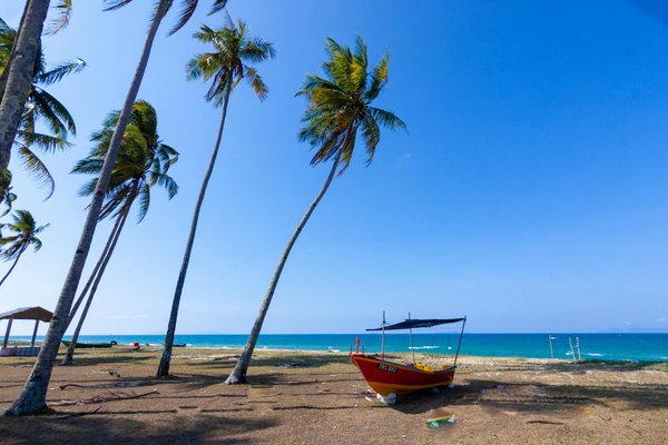 Quels sont les meilleurs itinéraires pour une croisière sur le fleuve Danube en Europe?