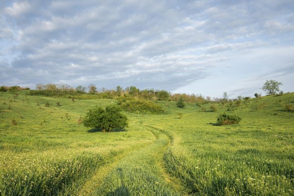 Quelles croisières offrent des excursions pour explorer les récifs coralliens en mer Rouge?