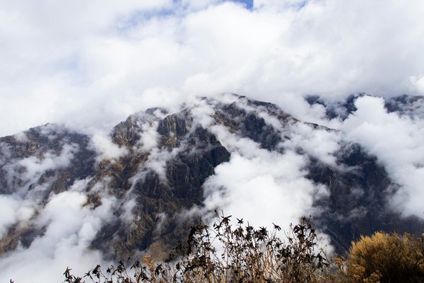 Où apprendre les techniques de la fabrication de la bière en Belgique : brasseries et ateliers recommandés ?